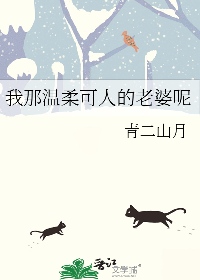 我那温柔可人的老婆呢