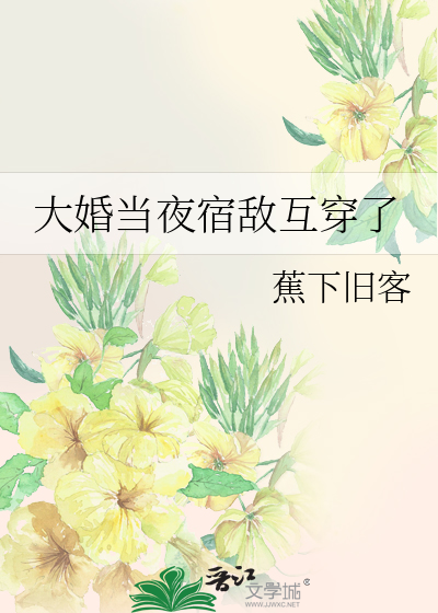 大婚当夜宿敌互穿了