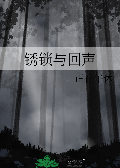 锈锁与回声