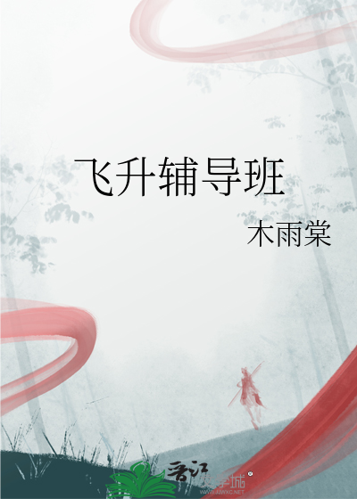 飞升辅导班