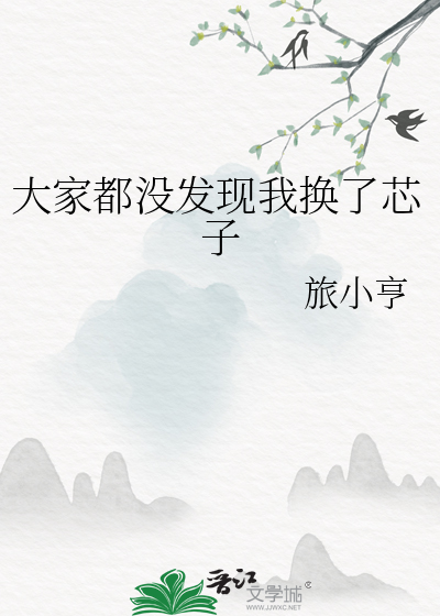 大家都没发现我换了芯子