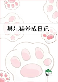 甚尔猫养成日记