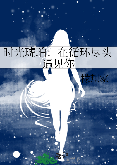时光琥珀：在循环尽头遇见你