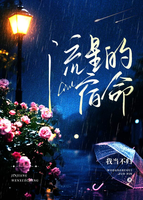 流星的宿命